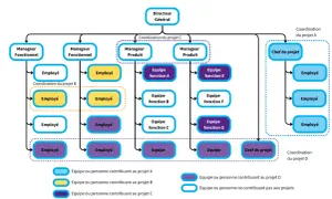 Organigramme illustrant l'organisation interne d'une entreprise, avec le Directeur Général au sommet, des managers fonctionnels et produit, et des équipes dédiées à différents projets.