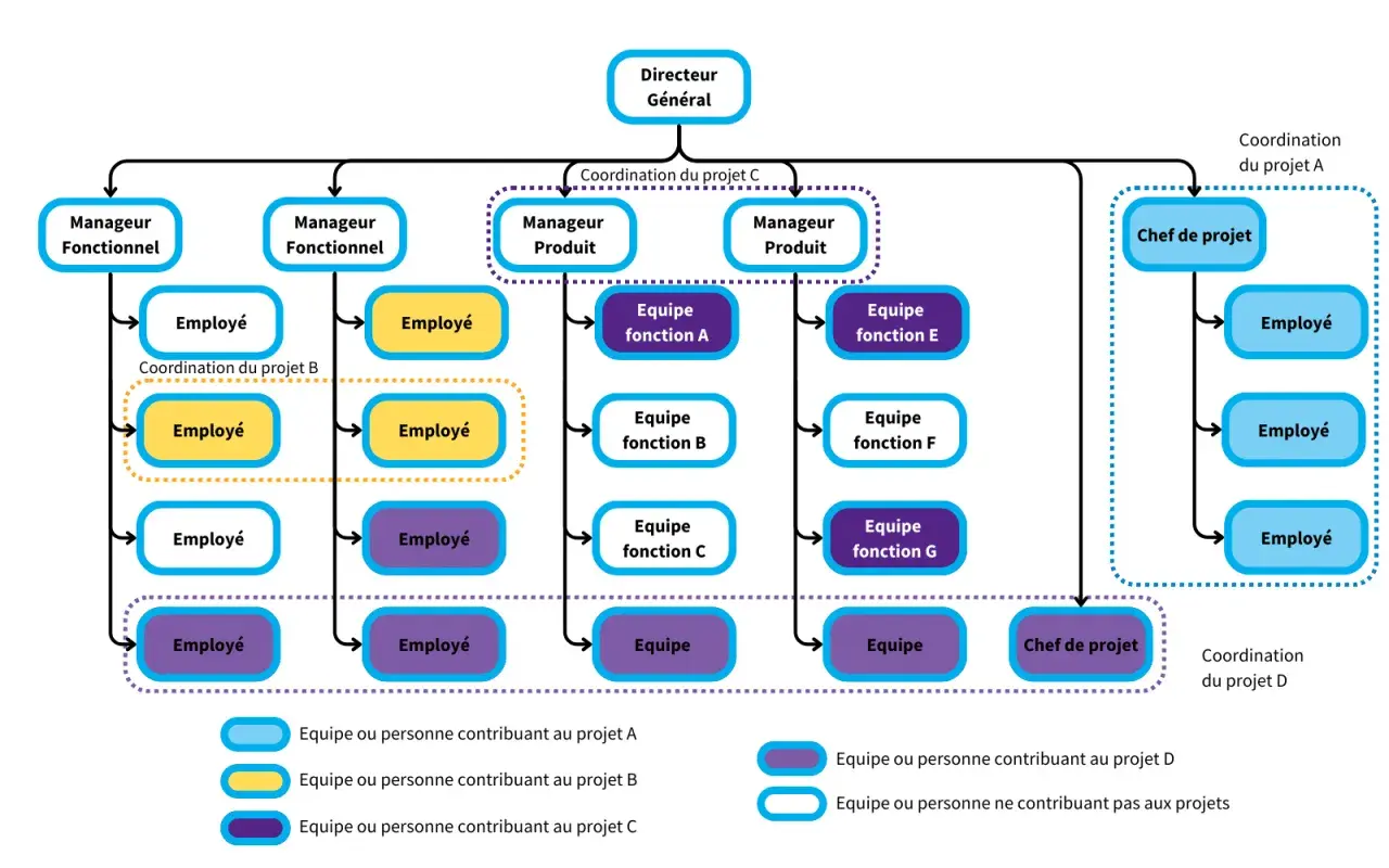 Organigramme illustrant l'organisation interne d'une entreprise, avec le Directeur Général au sommet, des managers fonctionnels et produit, et des équipes dédiées à différents projets.
